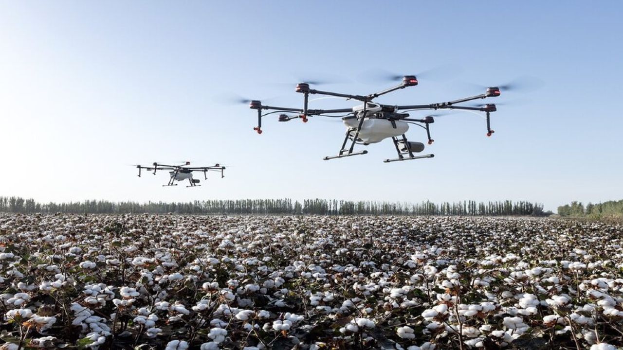 AGRICOLTURA, PATUANELLI: “DAL PNRR UN AMPIO PACCHETTO STRUMENTI PER LA TRANSIZIONE DIGITALE”